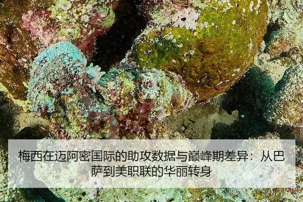 mei-xi-zai-mai-a-mi-guo-ji-de-zhu-gong-shu-ju-yu-dian-feng-qi-cha-yi-cong-ba-sa-dao-mei-zhi-lian-de-hua-li-zhuan-shen-3-768.jpg
